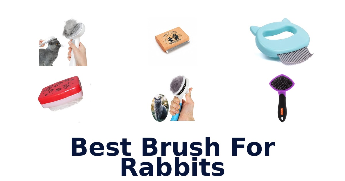 best brush for rabbits