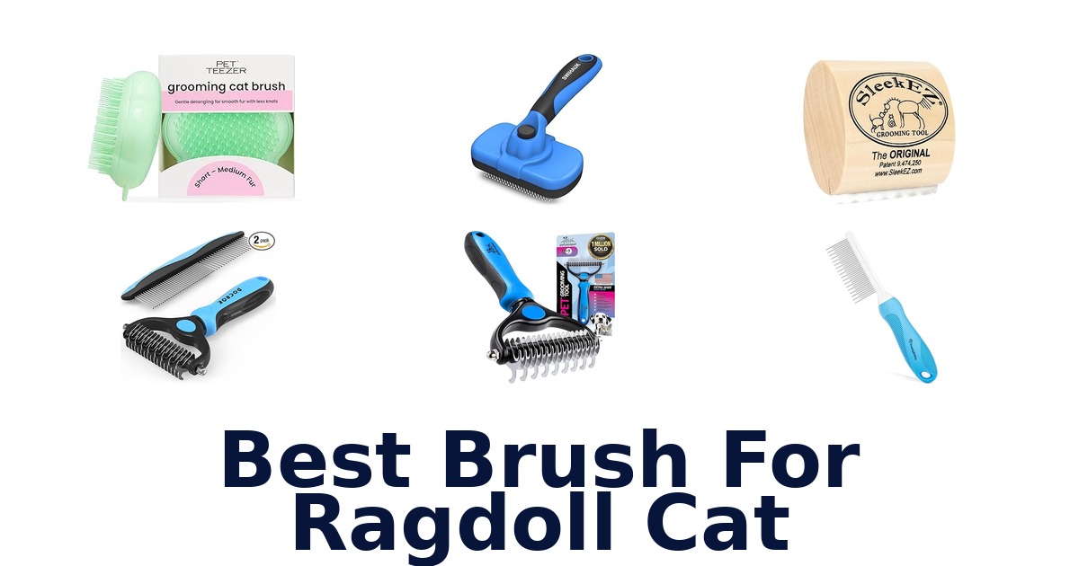 best brush for ragdoll cat