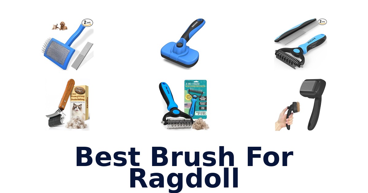 best brush for ragdoll