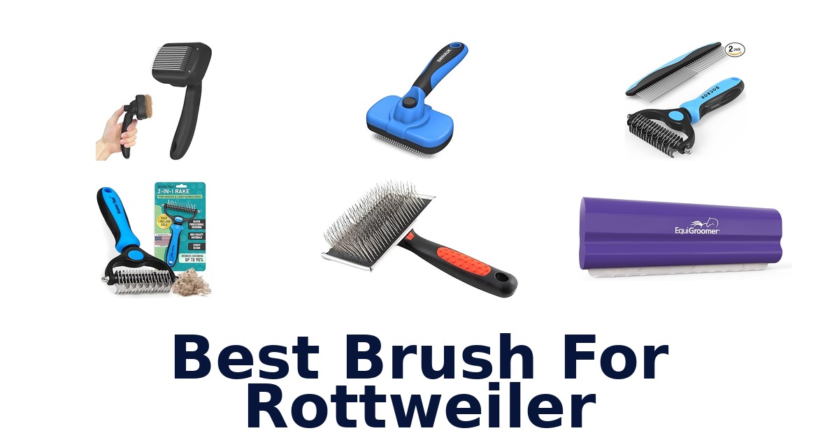 best brush for rottweiler