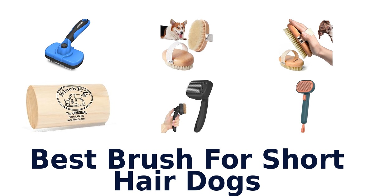 best brush for short hair dogs