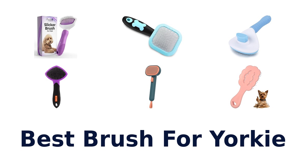 best brush for yorkie