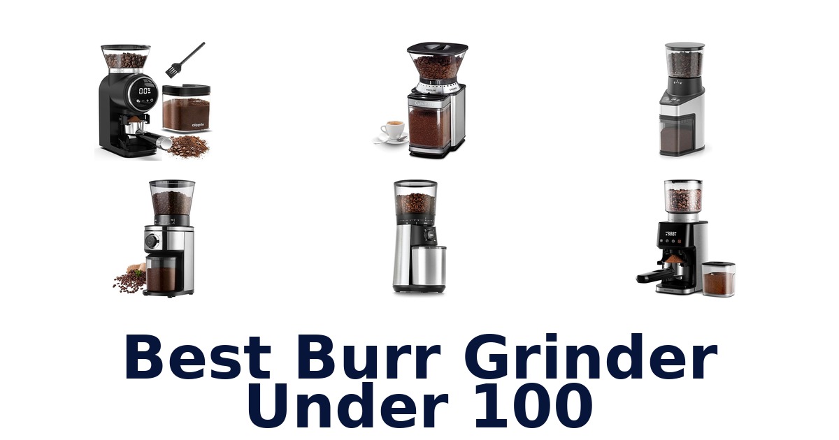 best burr grinder under 100
