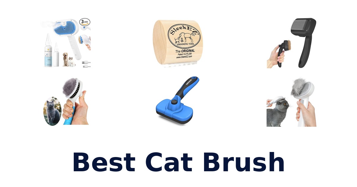 best cat brush