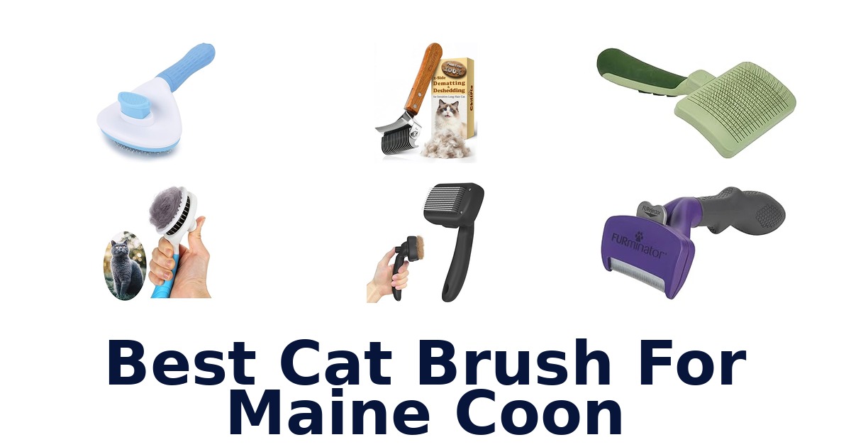 best cat brush for maine coon