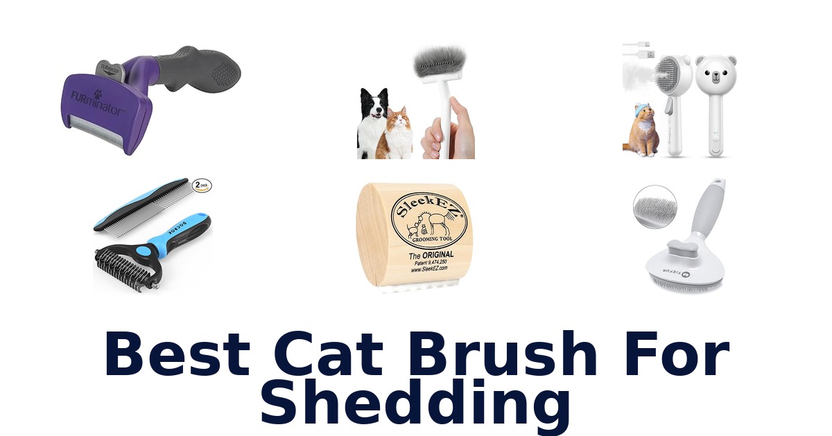 best cat brush for shedding