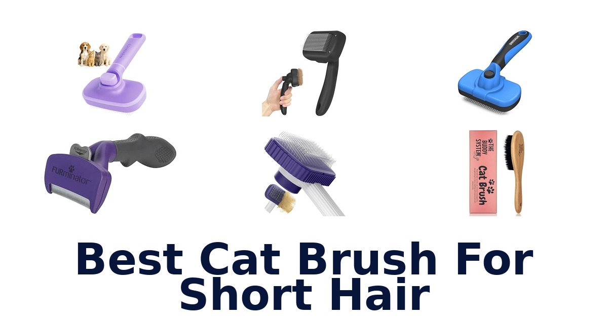 best cat brush for short hair