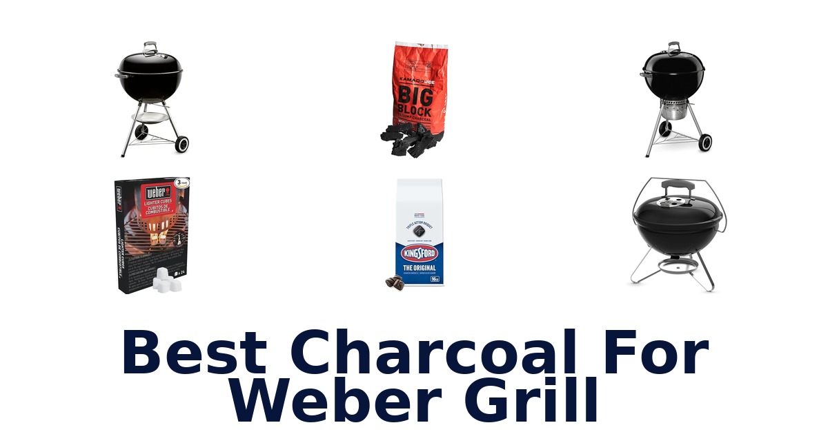 best charcoal for weber grill