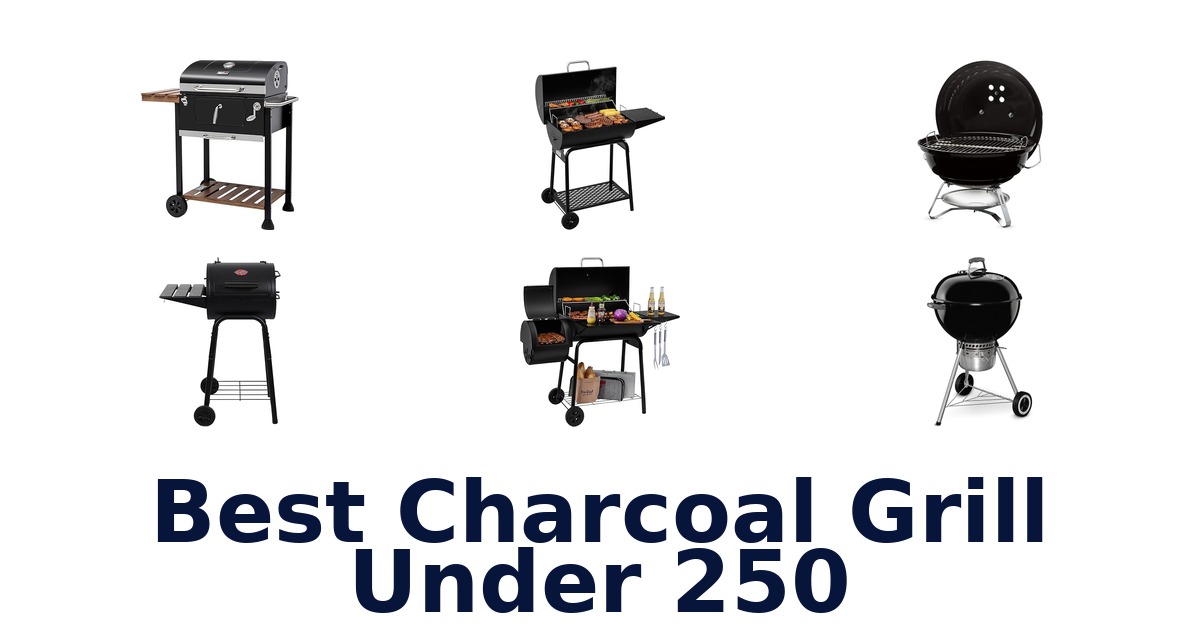 best charcoal grill under 250