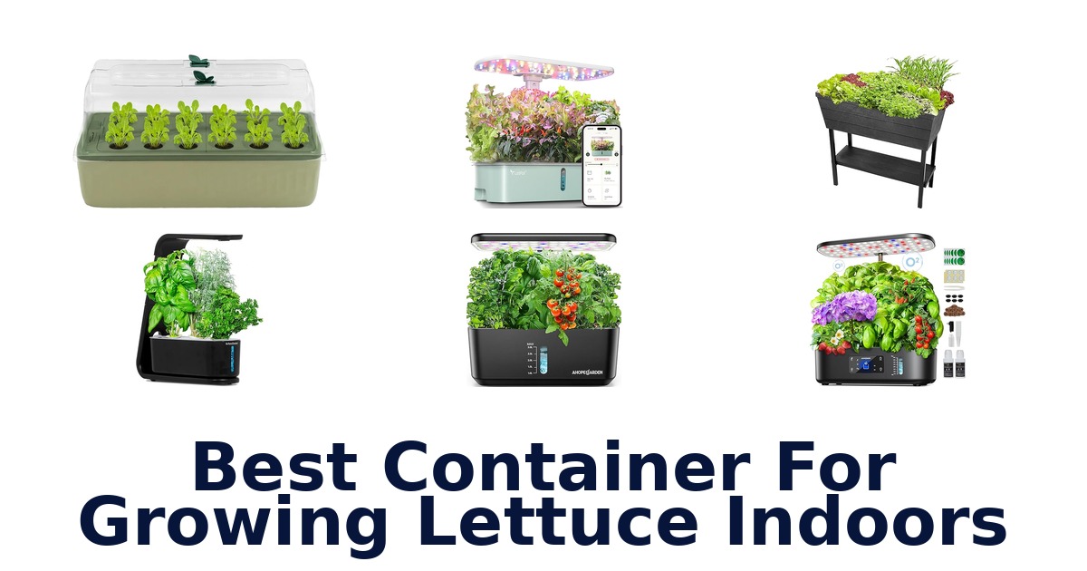 best container for growing lettuce indoors