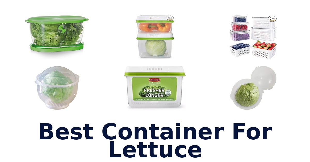 best container for lettuce