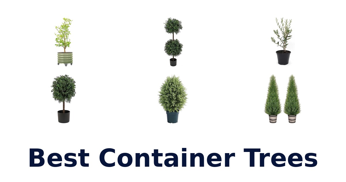 best container trees