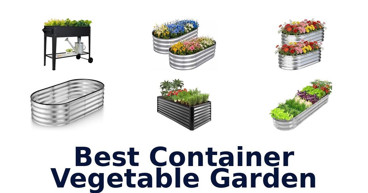 best container vegetable garden
