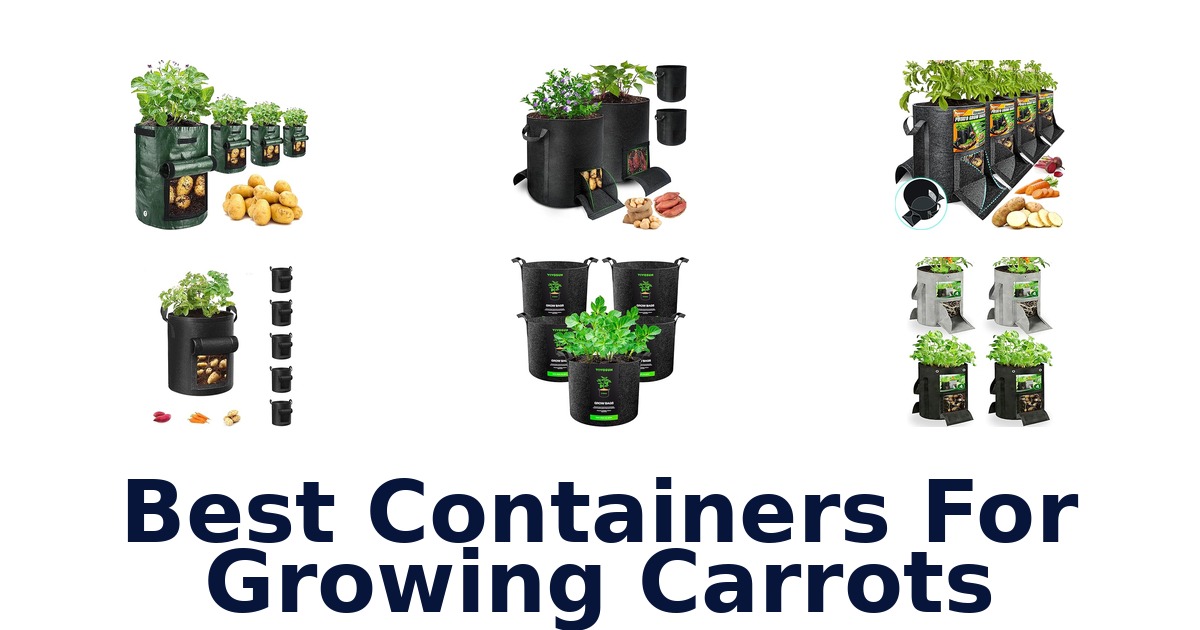 best containers for growing carrots