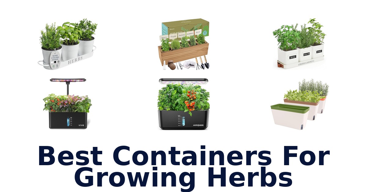 best containers for growing herbs