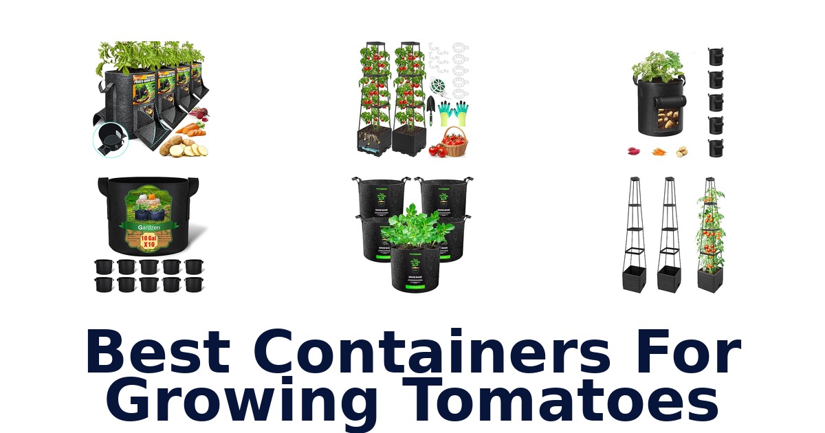 best containers for growing tomatoes