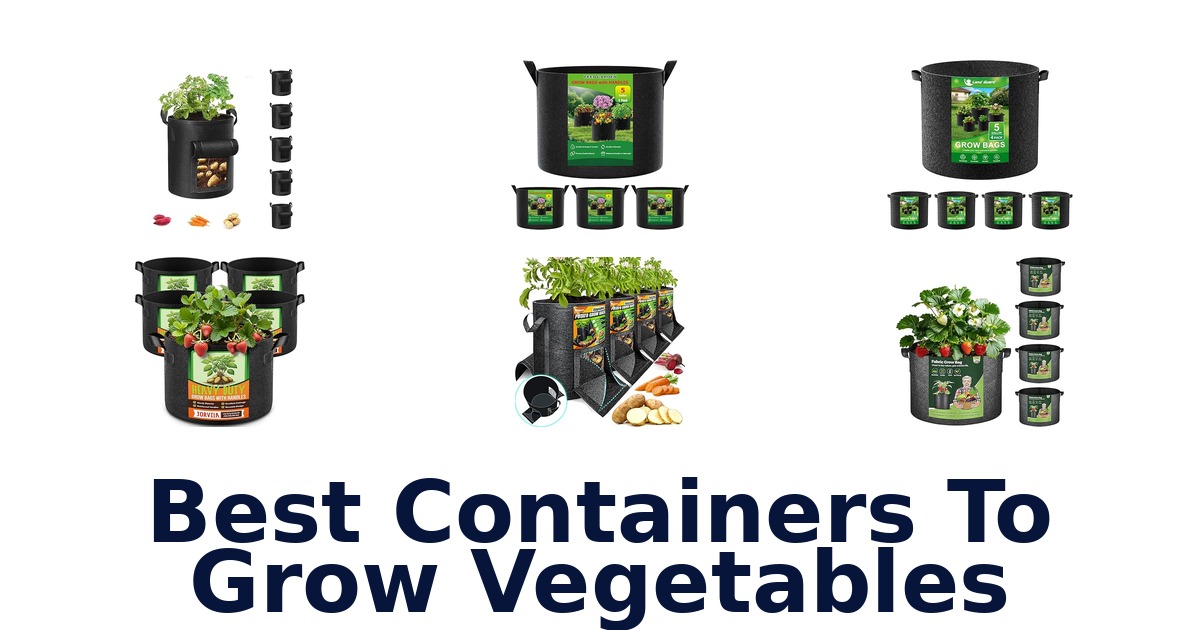 best containers to grow vegetables