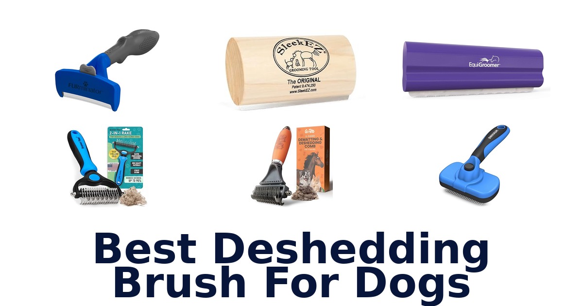 best deshedding brush for dogs