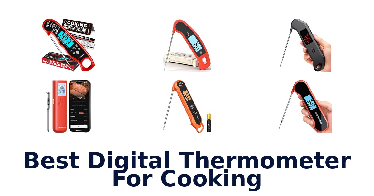 best digital thermometer for cooking