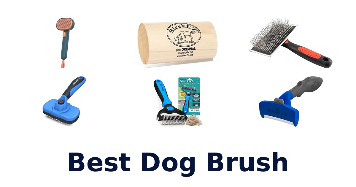 best dog brush