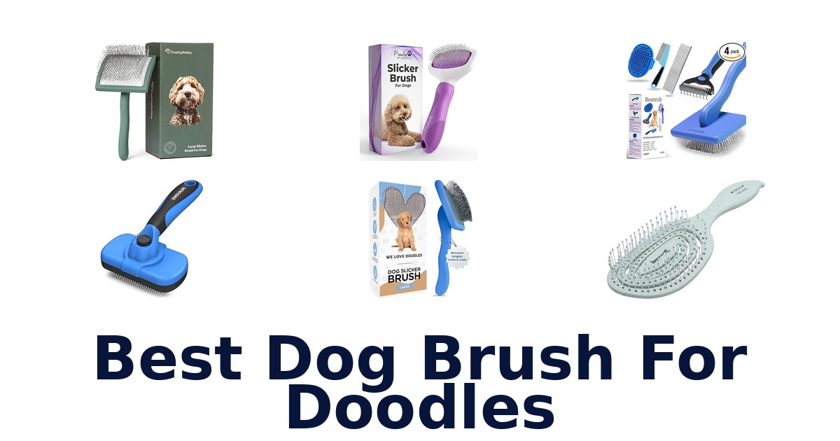 best dog brush for doodles