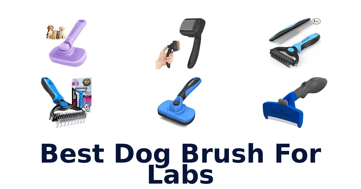 best dog brush for labs