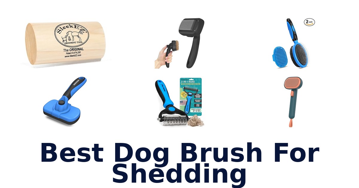 best dog brush for shedding