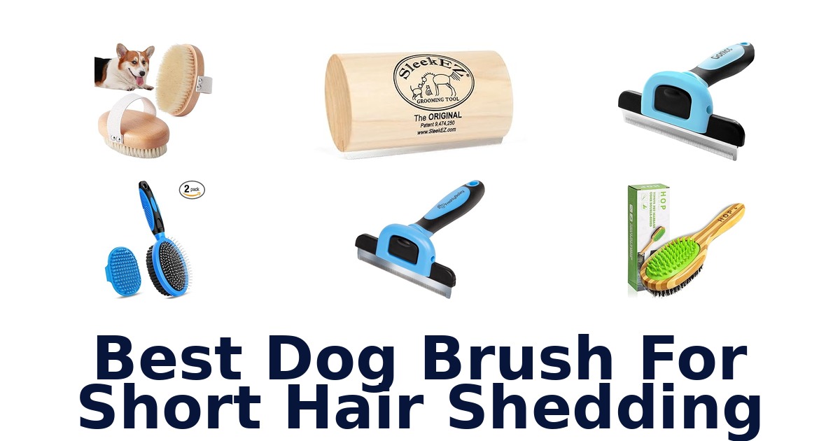 best dog brush for short hair shedding