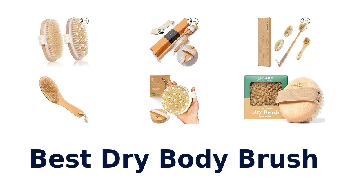 best dry body brush