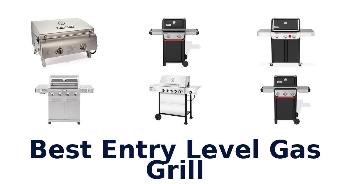 best entry level gas grill
