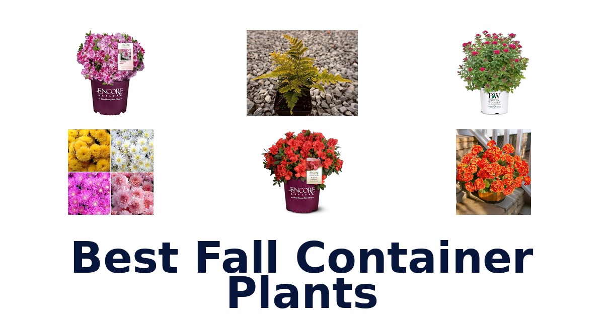 best fall container plants