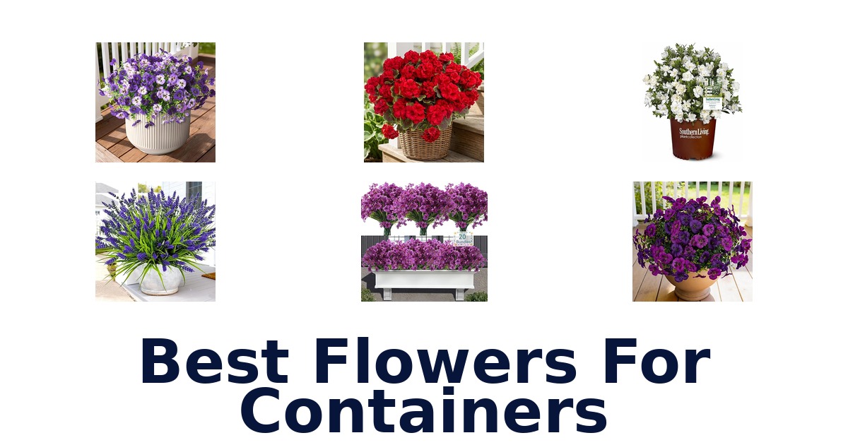 best flowers for containers