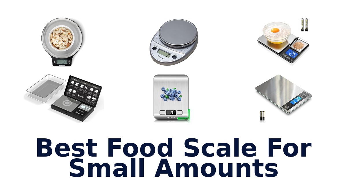 best food scale for small amounts