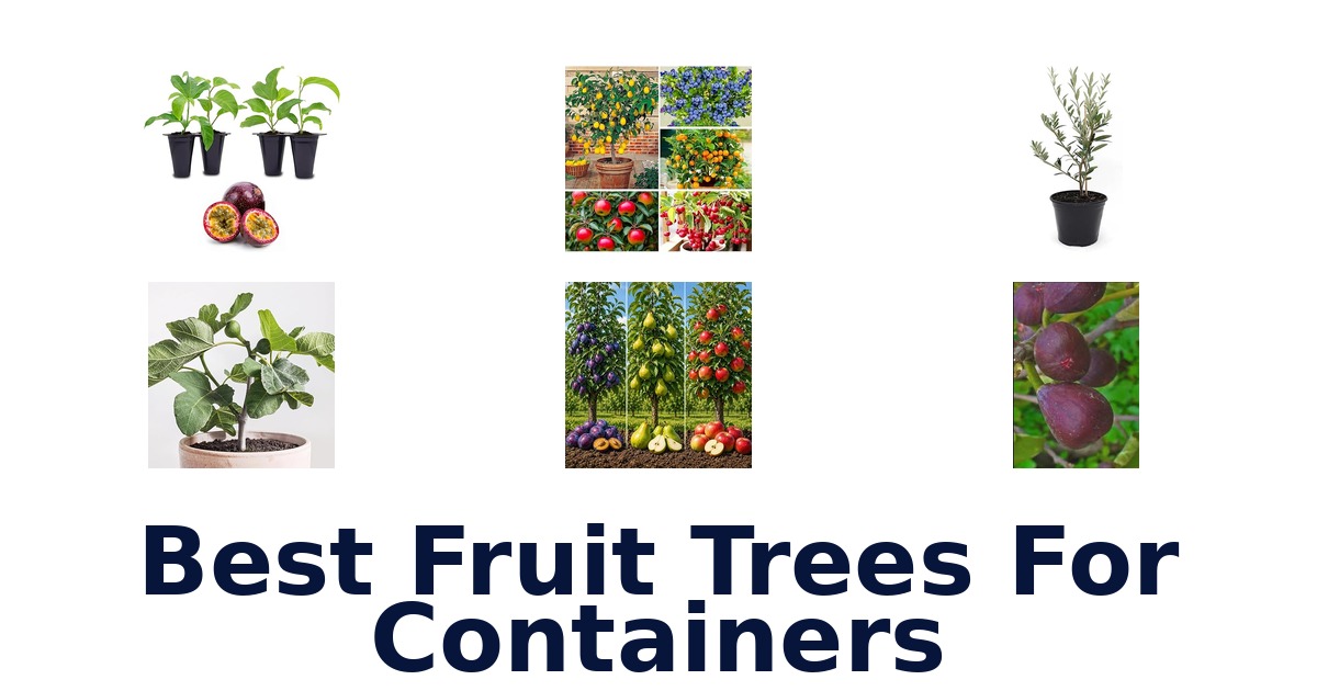 best fruit trees for containers