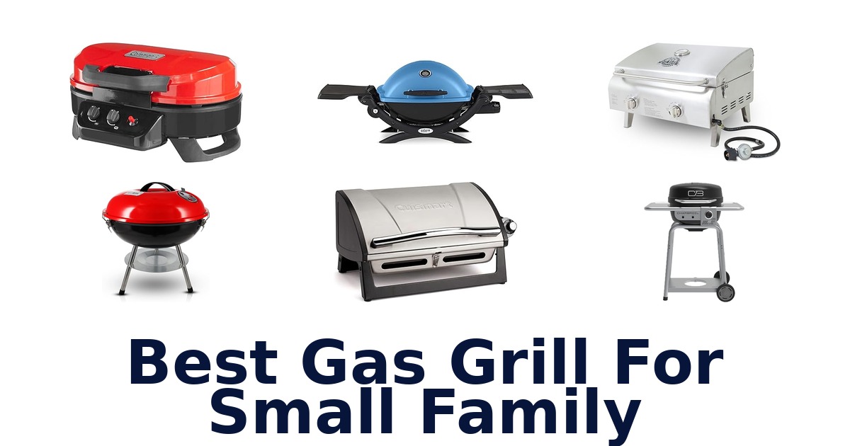 best gas grill for small family