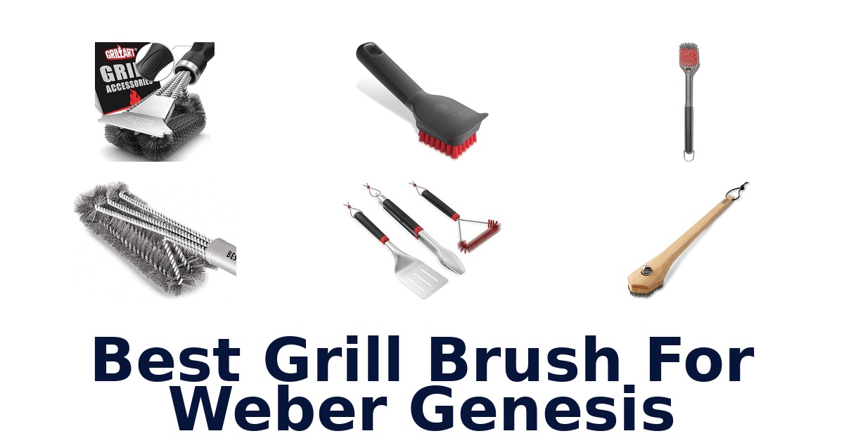 best grill brush for weber genesis
