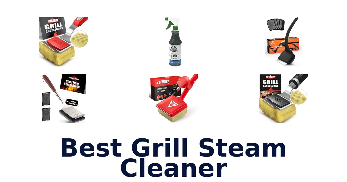best grill steam cleaner