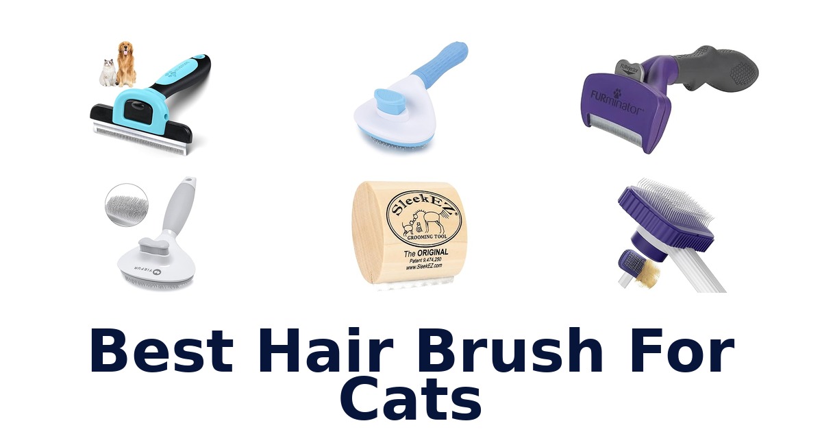 best hair brush for cats