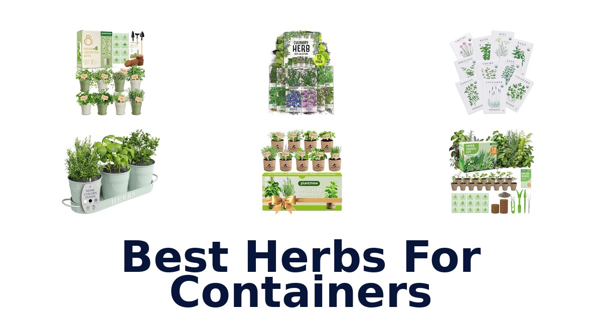 best herbs for containers