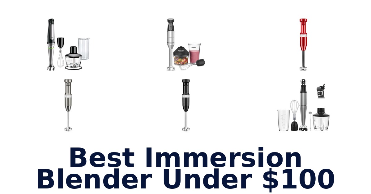 best immersion blender under $100