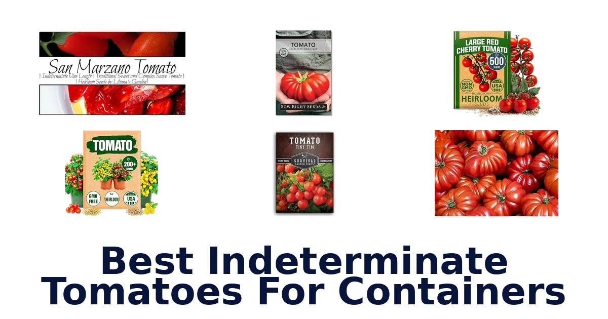 best indeterminate tomatoes for containers
