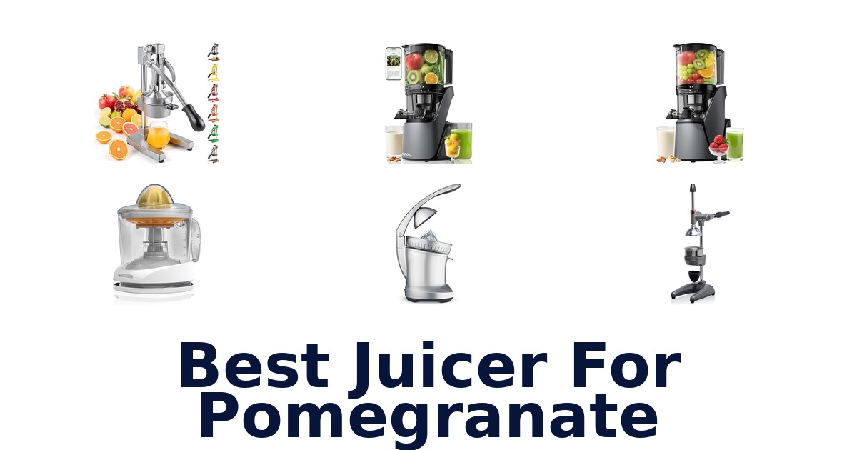 best juicer for pomegranate