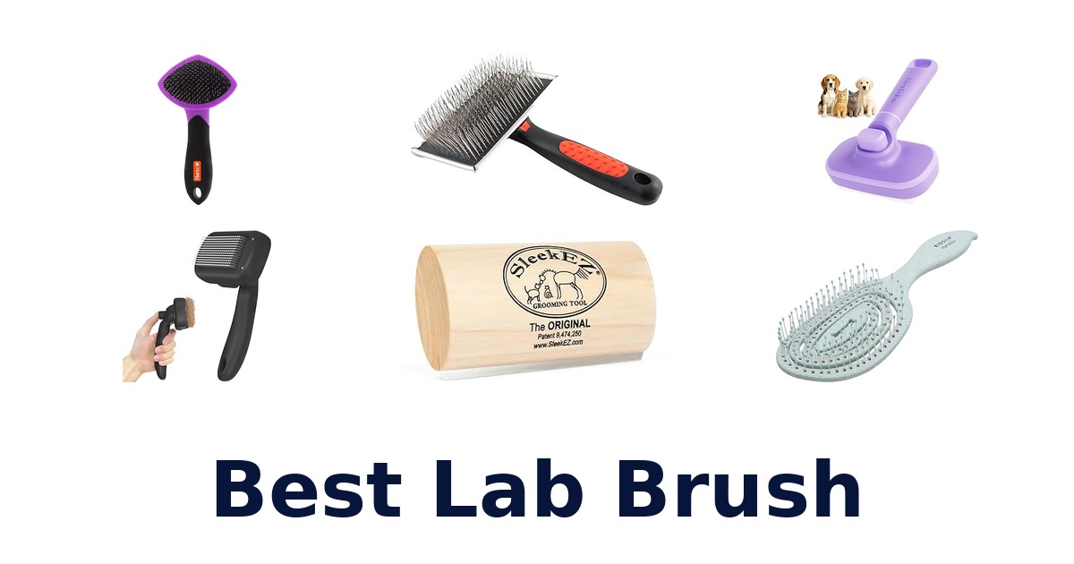 best lab brush