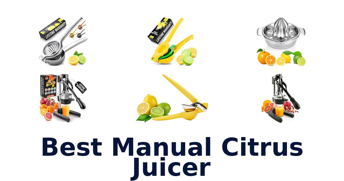 best manual citrus juicer