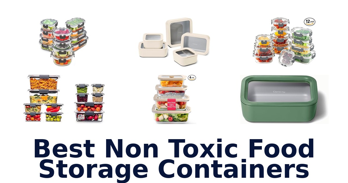 best non toxic food storage containers