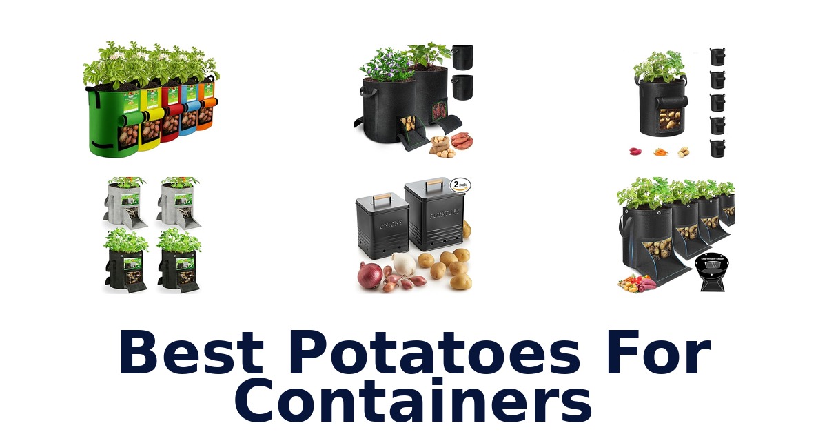best potatoes for containers