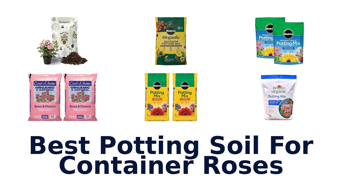 best potting soil for container roses