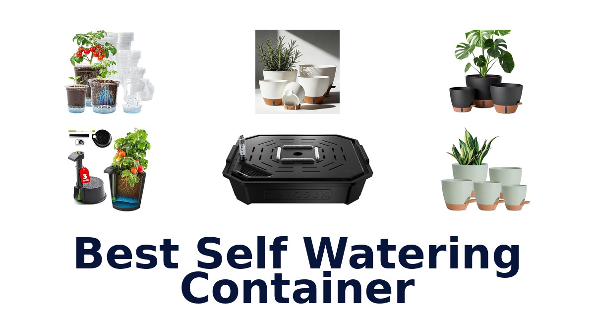 best self watering container