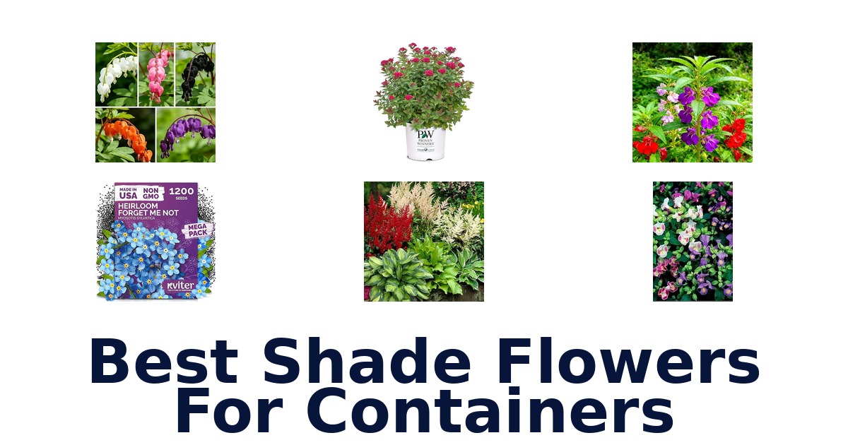 best shade flowers for containers