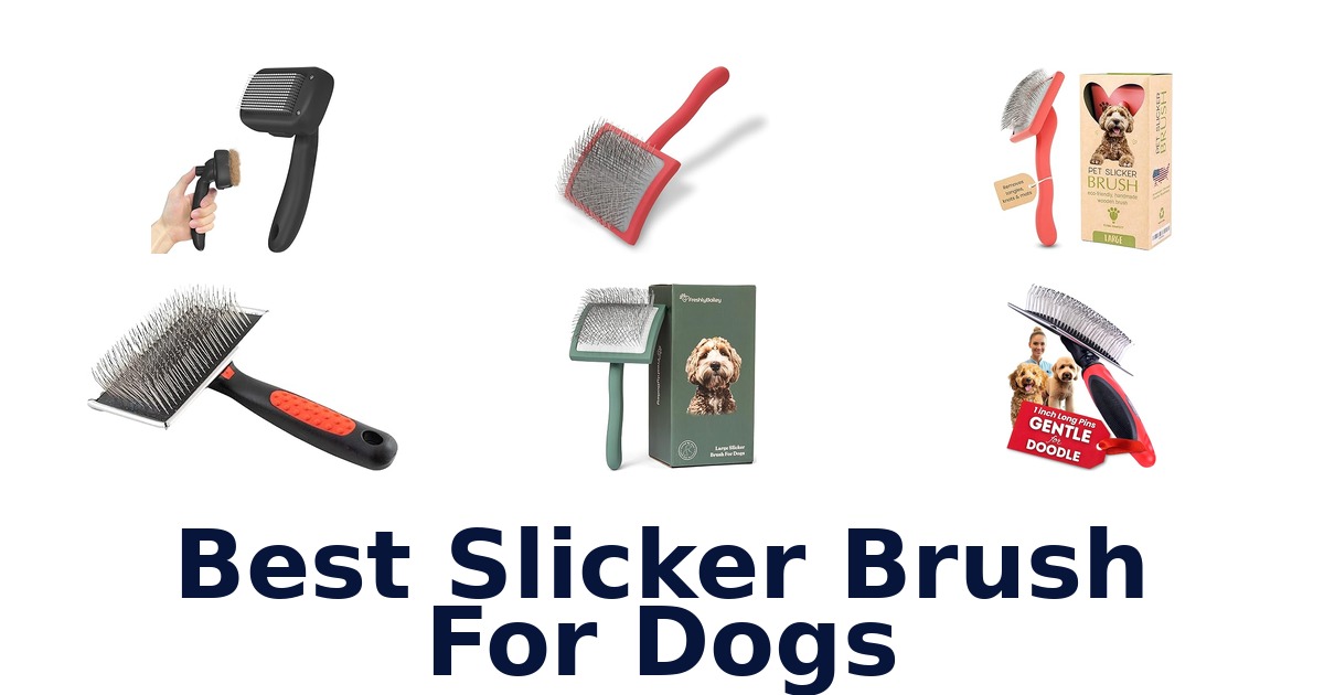 best slicker brush for dogs